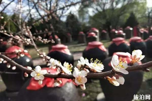 西域酒文化博物館