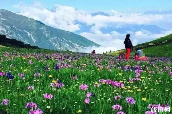 德陽九頂山風景區