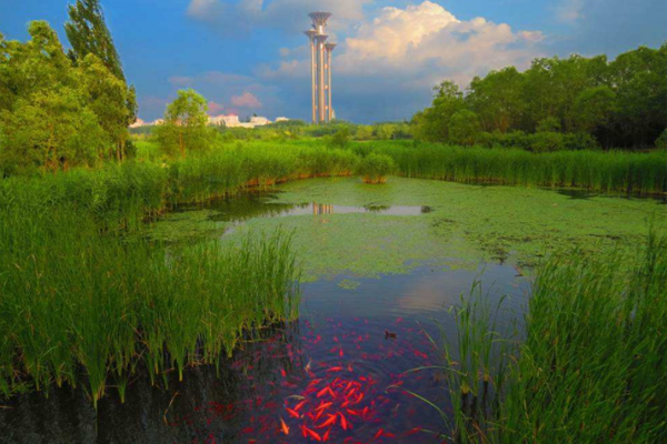 北京奧林匹克森林公園