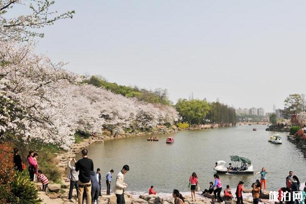 湖南省森林植物園