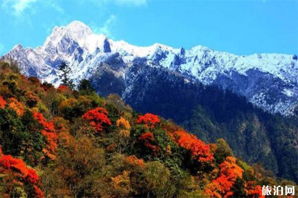 雅安東拉山大峽谷