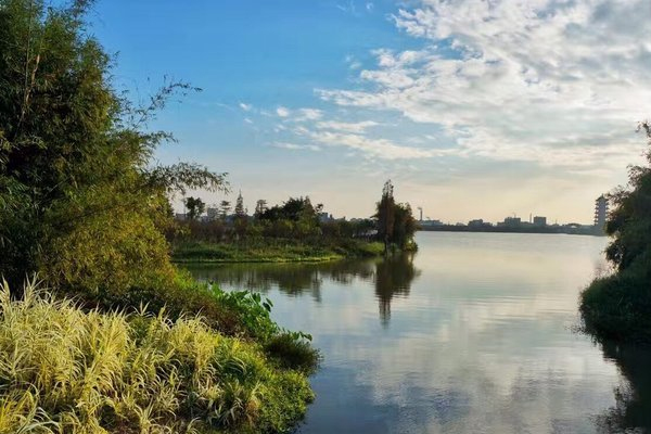 華陽湖濕地公園