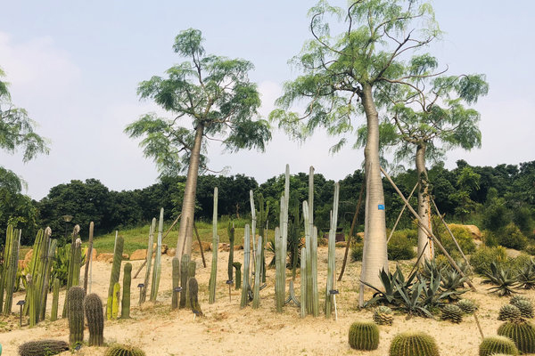 東莞植物園