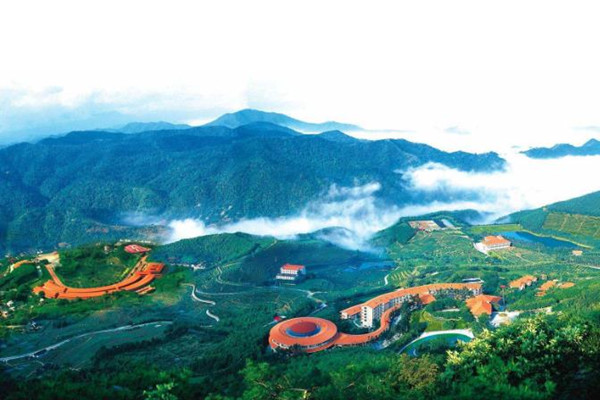 梅州雁南飛茶田度假村