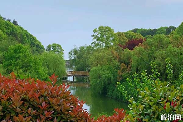 岳陽君山公園