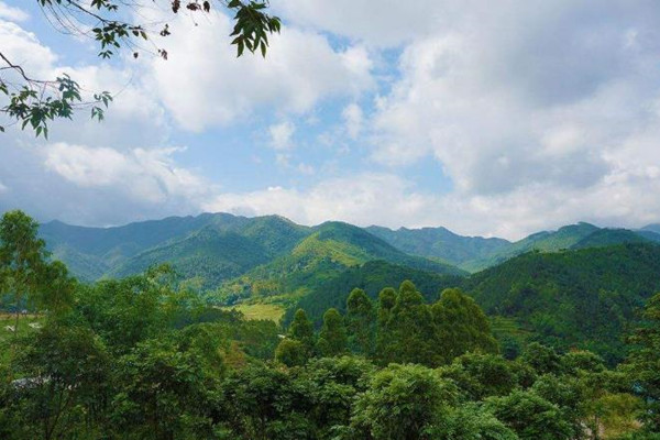 云浮大云霧山旅游區