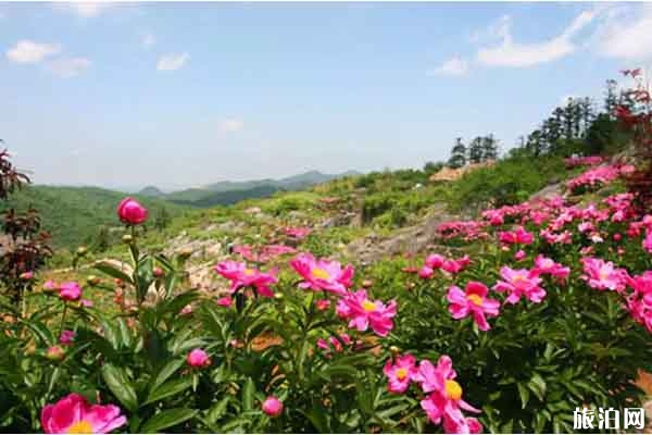 丫山花海石林