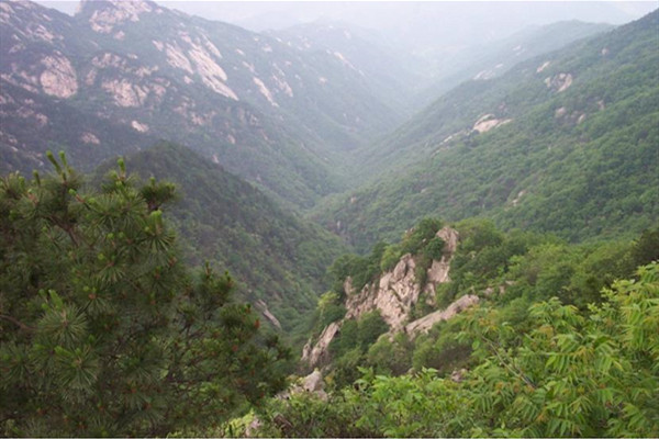 孝昌雙峰山國家森林公園