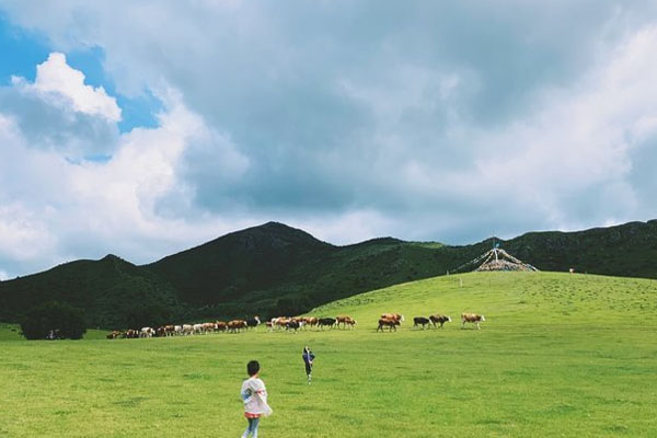 扎魯特山地草原旅游區