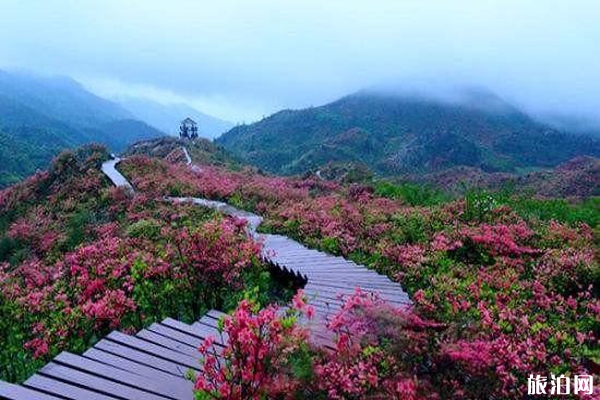 攀枝花龍頭山在哪里