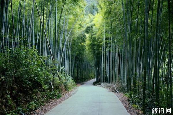 涇縣水墨汀溪風景區