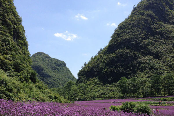 荔波香草園