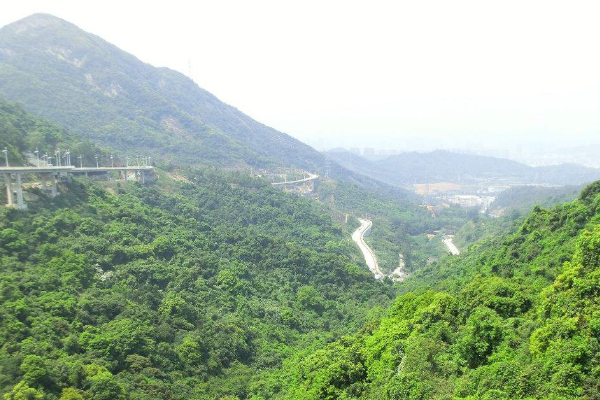 馬巒山郊野公園