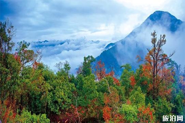 撫州麻姑山風景區