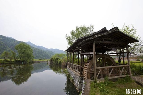 婺源嚴(yán)田古樟風(fēng)景區(qū)