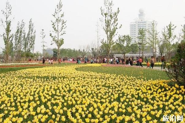 滄州名人植物園