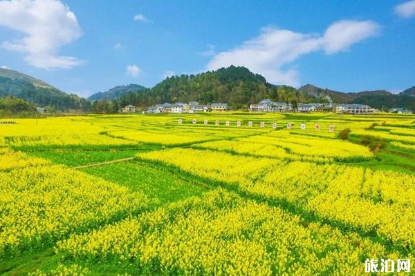 遵義周邊賞花游玩景點推薦