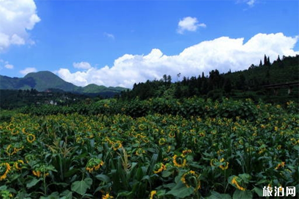 牧羊湖介紹 牧羊湖景區門票多少