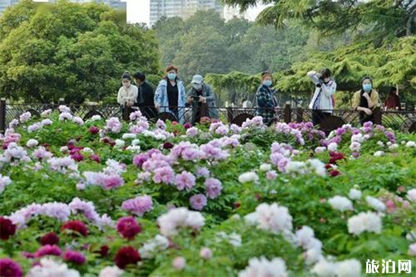 昆明百花公園在哪里 需要門票嗎