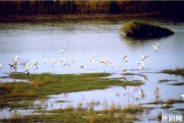 西洞庭湖國家城市濕地公園