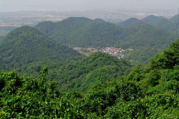 黃荊山