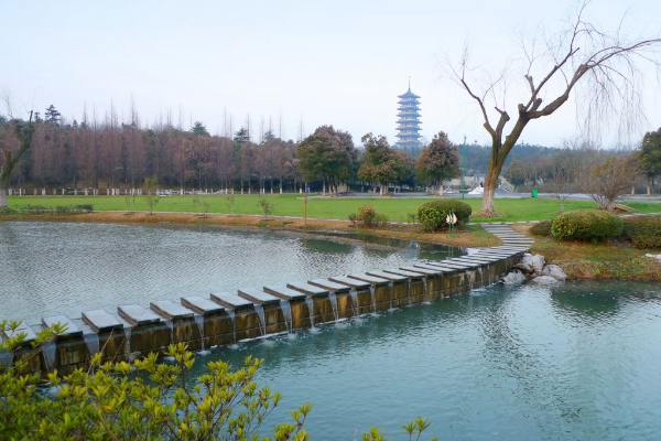 龍背山森林公園