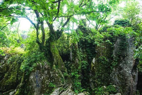 華鎣山