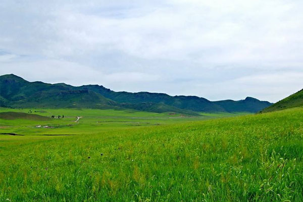 扎魯特山地草原