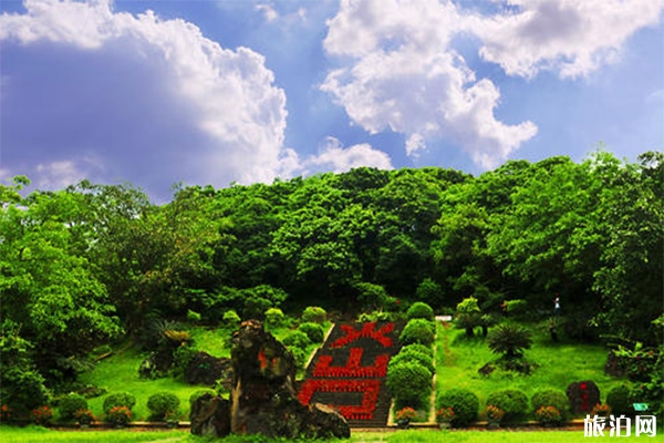 火山口公園