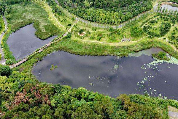 塔河固奇谷國家濕地公園