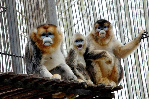 神州荒漠野生動(dòng)物園