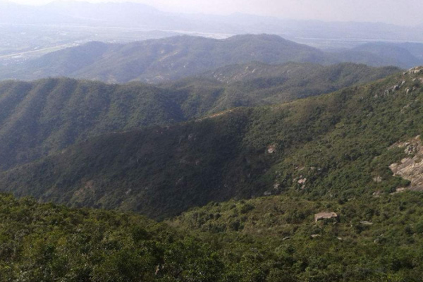 黃楊山