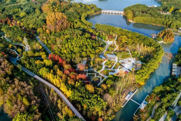 昆山城市生態森林公園