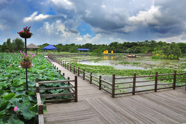 南沙濕地公園