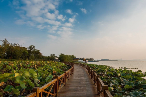 后官湖濕地公園