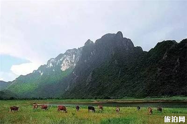 俄娘九峰山