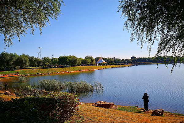 沈陽(yáng)丁香湖公園