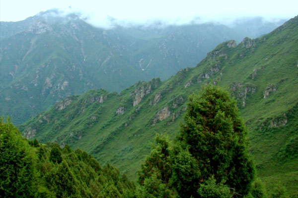 和靜北山森林公園