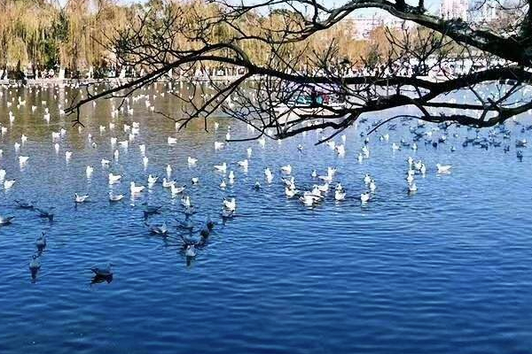 昆明翠湖公園