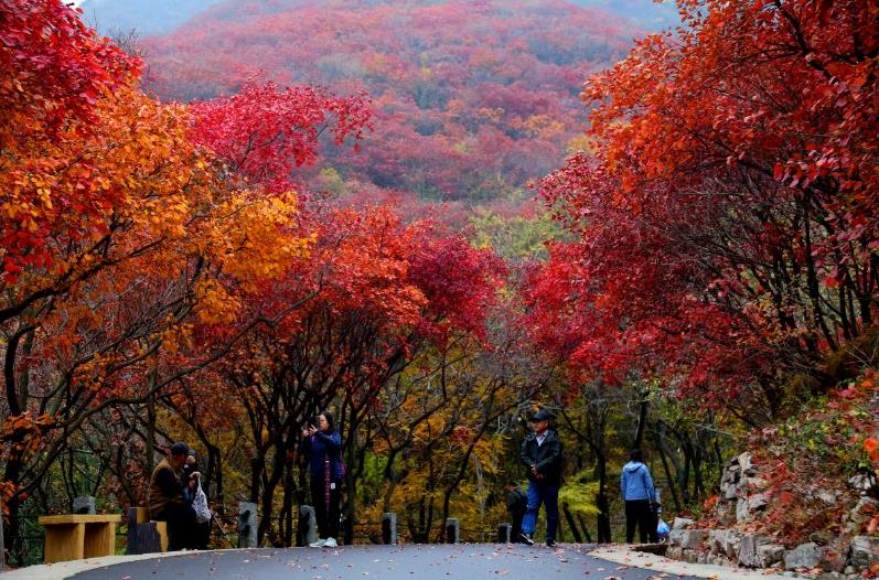 濟(jì)南紅葉谷好玩么 濟(jì)南紅葉谷值得去嗎