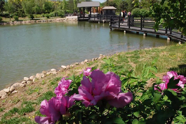 熊岳植物園