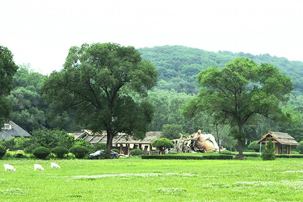 沈陽國(guó)家森林公園