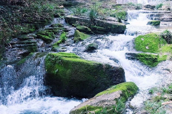 飛水谷景區