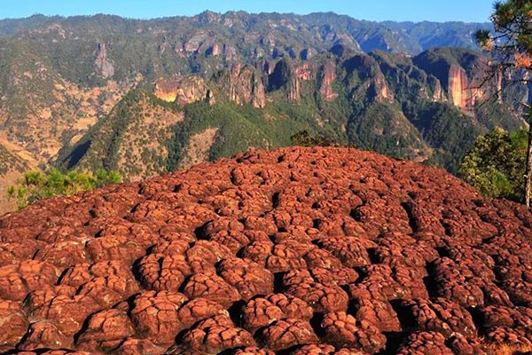 麗江老君山徒步路線 老君山徒步攻略