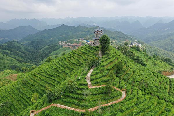 茶山金字塔