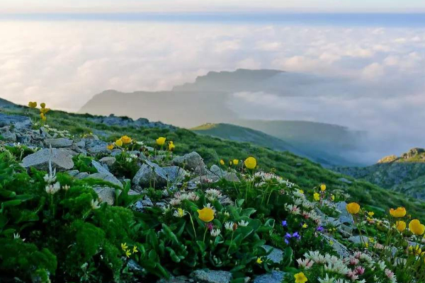 鰲山景區(qū)