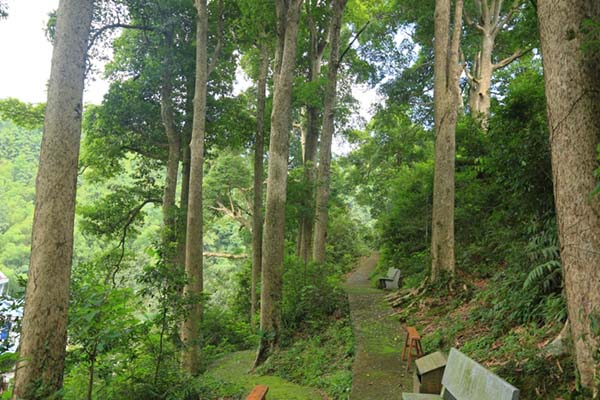 鷹潭西湖濕地公園