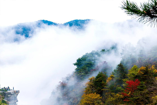 廬山登山路線全攻略 廬山最佳觀日出地點