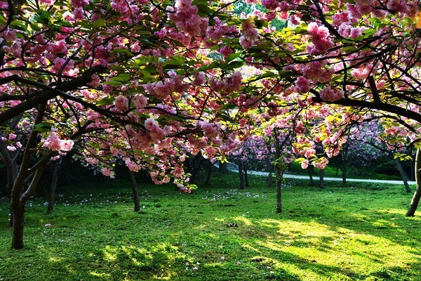 寶塔山公園