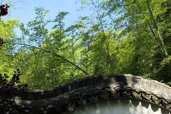 橫山國家森林公園